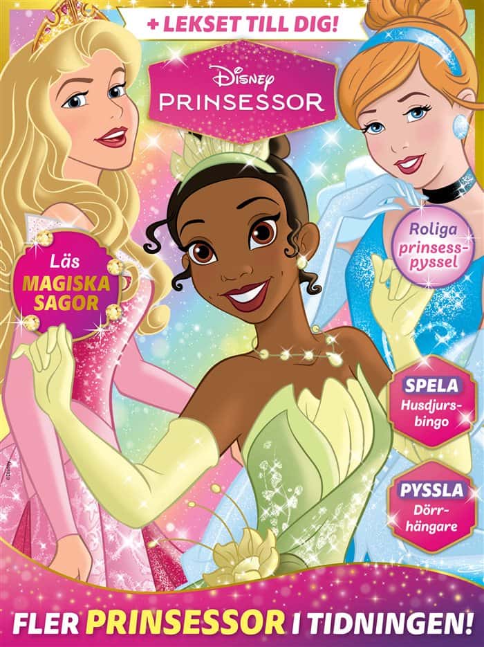 Disney Prinsessor Set med Kjol och Tiara