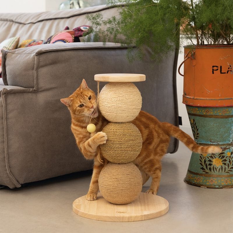 Designed by Lotte Elio Klösboll för Katter