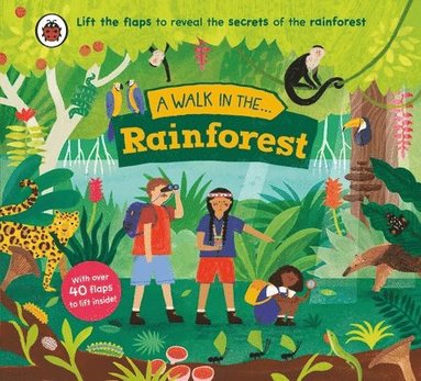 Walk in the Rainforest Lift-the-Flap Book