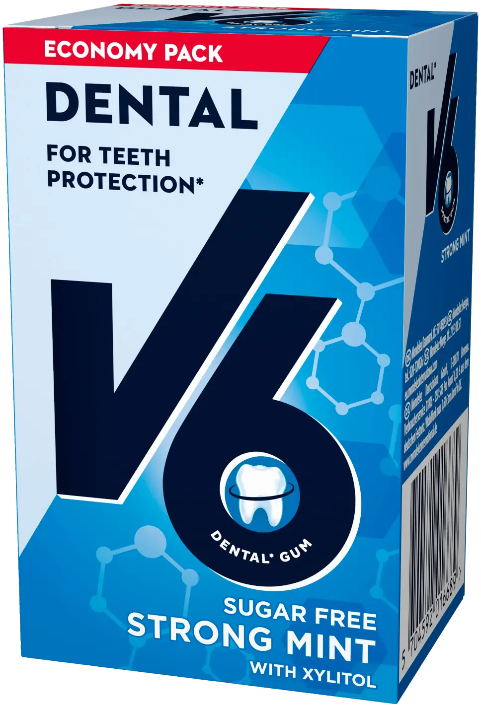 V6 Dental Care Strong Mint Tuggummi 72g
