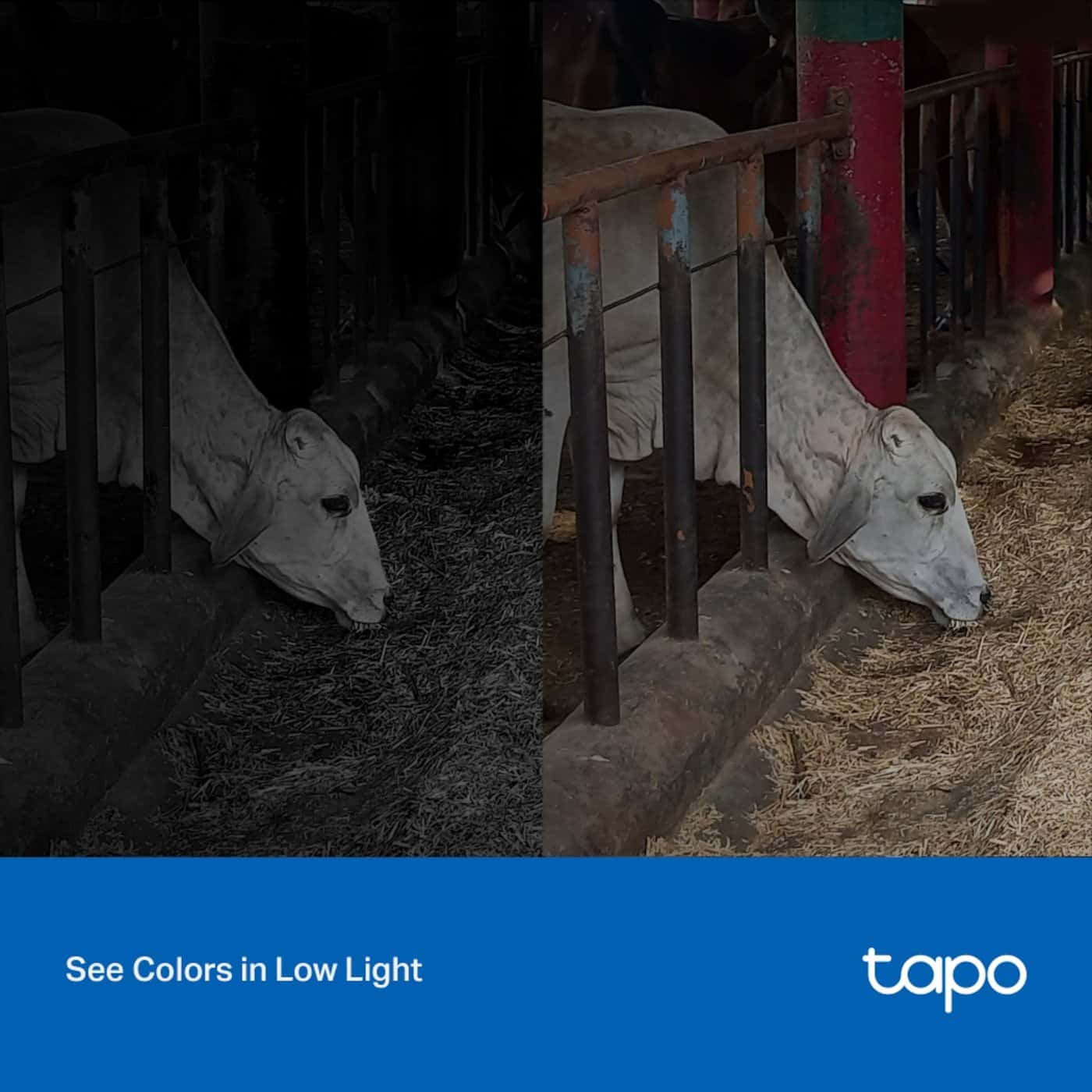 TP-Link Tapo C320WS Trådlös Säkerhetskamera