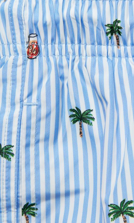 Eton Randiga Flerfärgade Badshorts Herr