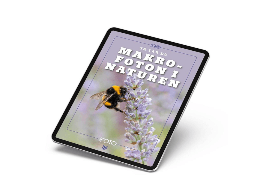 2 Tidningar för 148 kr med Reseset