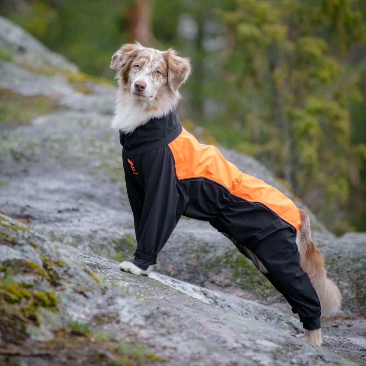 Vinterrea – Upp till 70% Rabatt