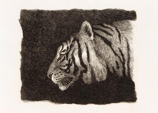 Stilfulla tavlor, posters och ramar