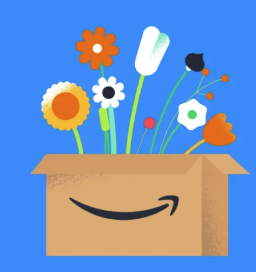 Prova Amazon Prime gratis I 30 dagar