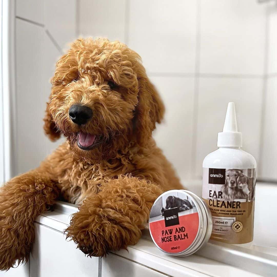 Premium Tillskott för Katter och Hundar