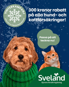 Få 300 kr rabatt hos Sveland när du byter försäkringsbolag