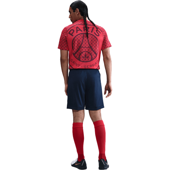 NIKE PSG Dri-Fit Stadium Shorts