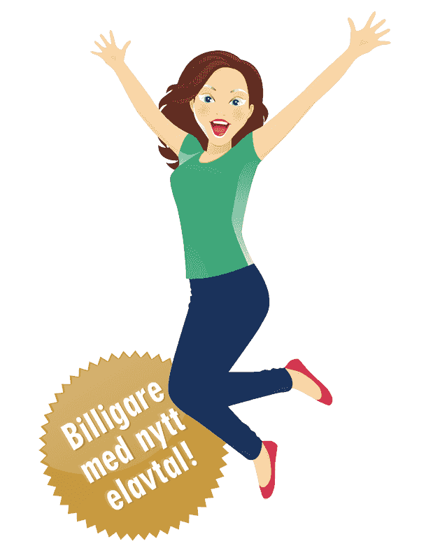 Svealands Elbolag – Hållbar El för Framtiden