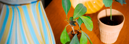 Köp och sälj begagnade varor online