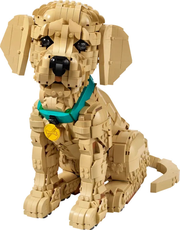 Golden retriever-valp