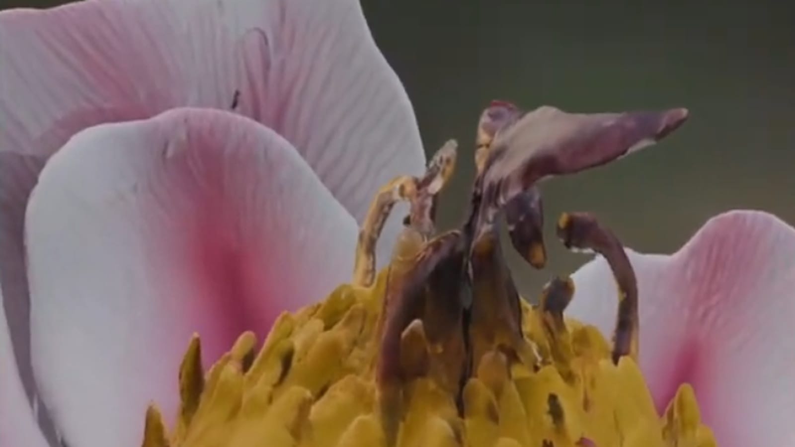 Gratis VR-upplevelser i Nordstan Göteborg