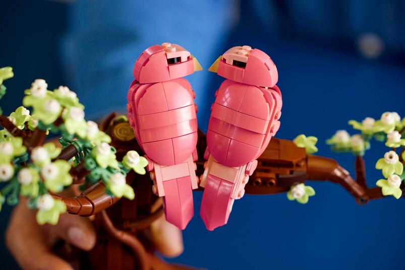 LEGO Ideas Dvärgpapegojor Byggsats