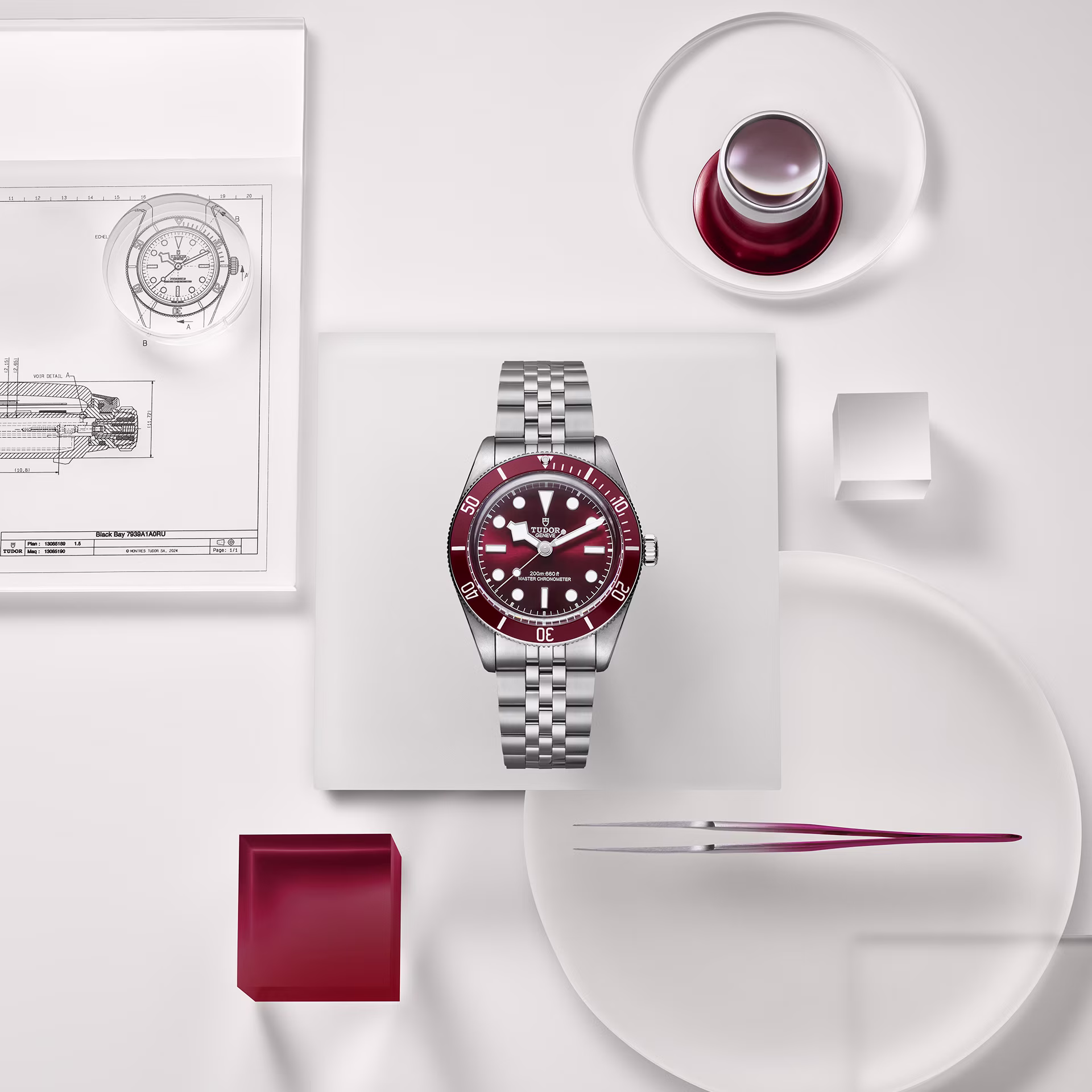 TUDOR Black Bay 58 Burgundy Watch