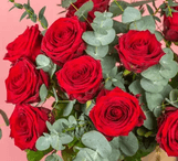 20 % alumnirabatt hos Euroflorist