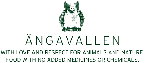 Elegant Rooms at Angavallen Hotel