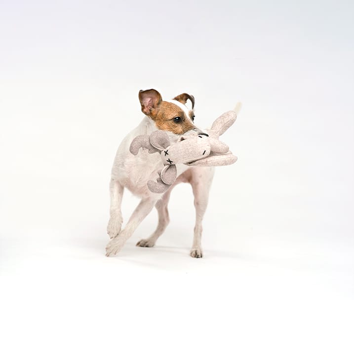 Hundleksak Marley Moose Beige