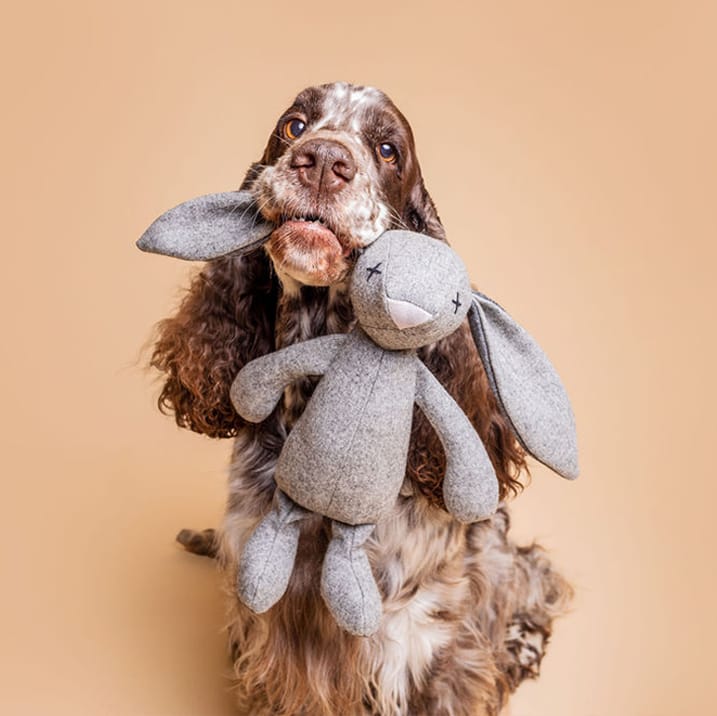 Hundleksak Marley Moose Beige