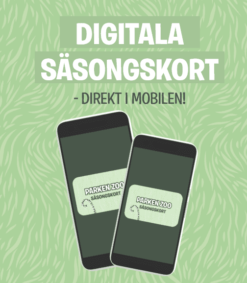 Erbjudanden via nyhetsbrevet.