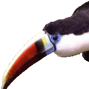 Entrébiljetter till Malmö Reptilcenter