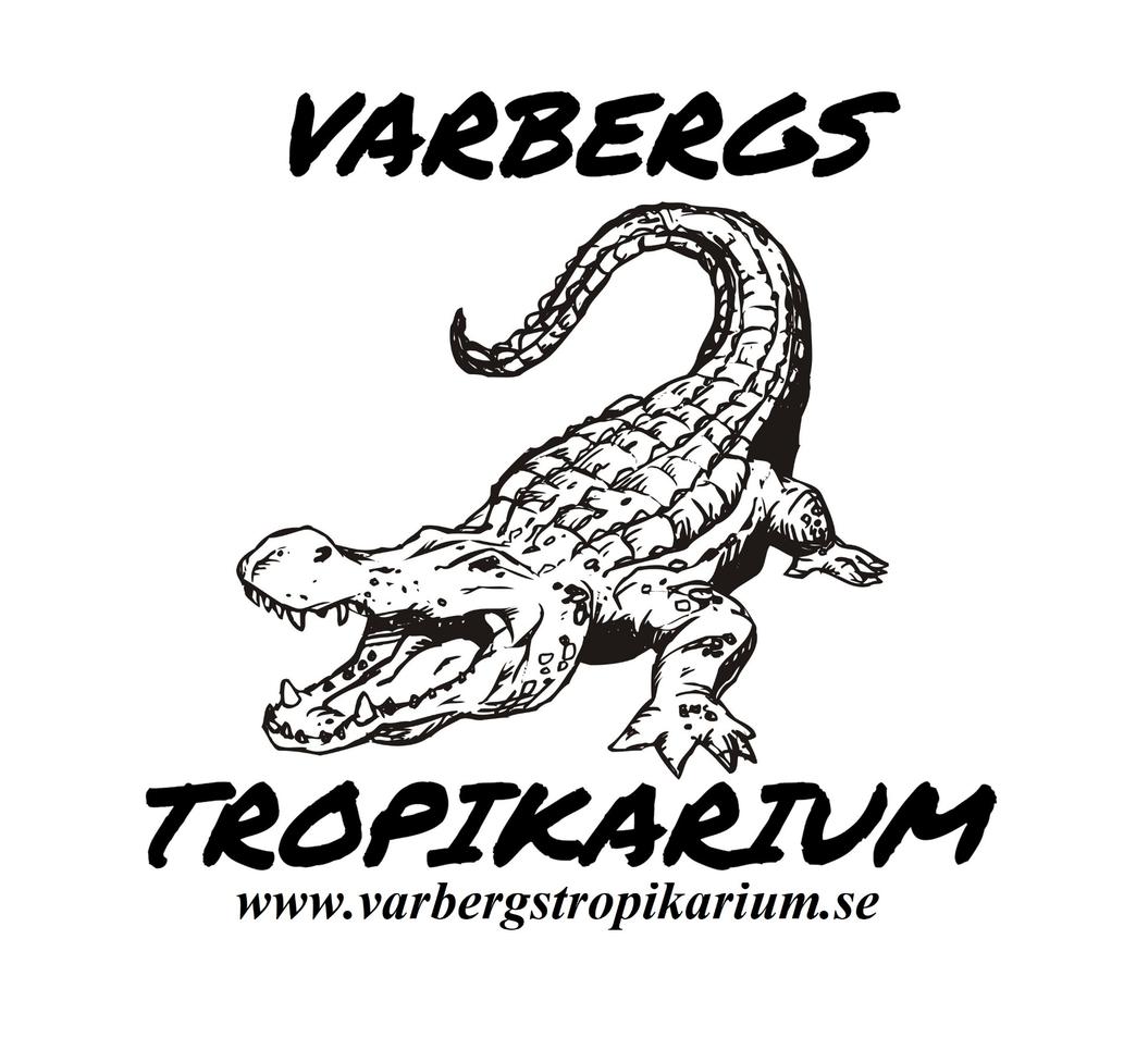 Upptäck och Lär om Våra Djur