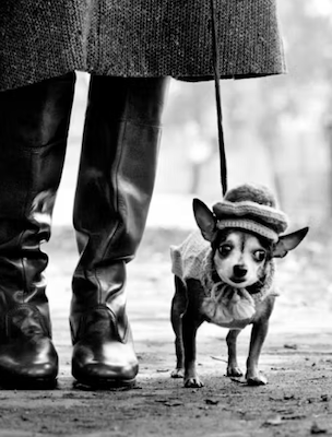 Få 10 % rabatt på ett helt köp hos Fotografiska Stockholm