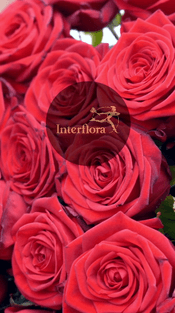 Få 10 % rabatt på alla hjärtans dag-buketten hos Interflora