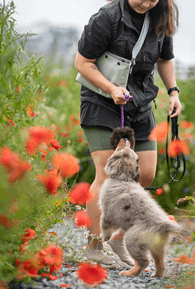 Fri frakt hos Labanbags