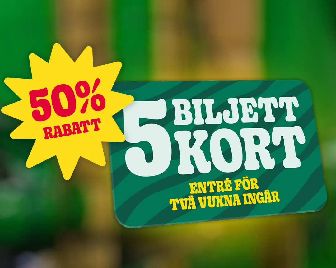 Exklusivt x5 Biljettkort för Familjen