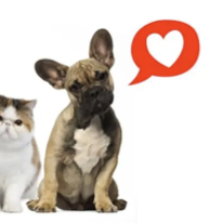 15 % alumnirabatt hos VetZoo