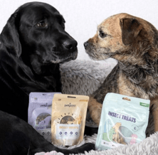 25 % rabatt på allt godis hos Petgood