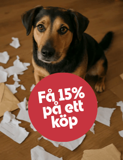 Få 15 % rabatt på ett köp hos Gaston