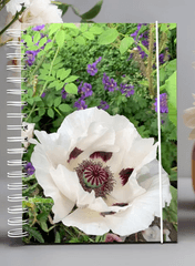 10 % rabatt på din första order hos Kalenderspecialisten