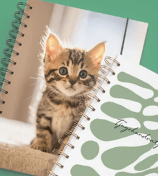 20 % rabatt på allt hos Kalenderspecialisten just nu