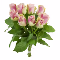 Rosor 9-pack hos Willys