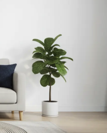 100 kr alumnirabatt på krukor & odlingslådor hos vidaXL