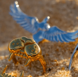 15 % alumnirabatt på smycken hos Olympia