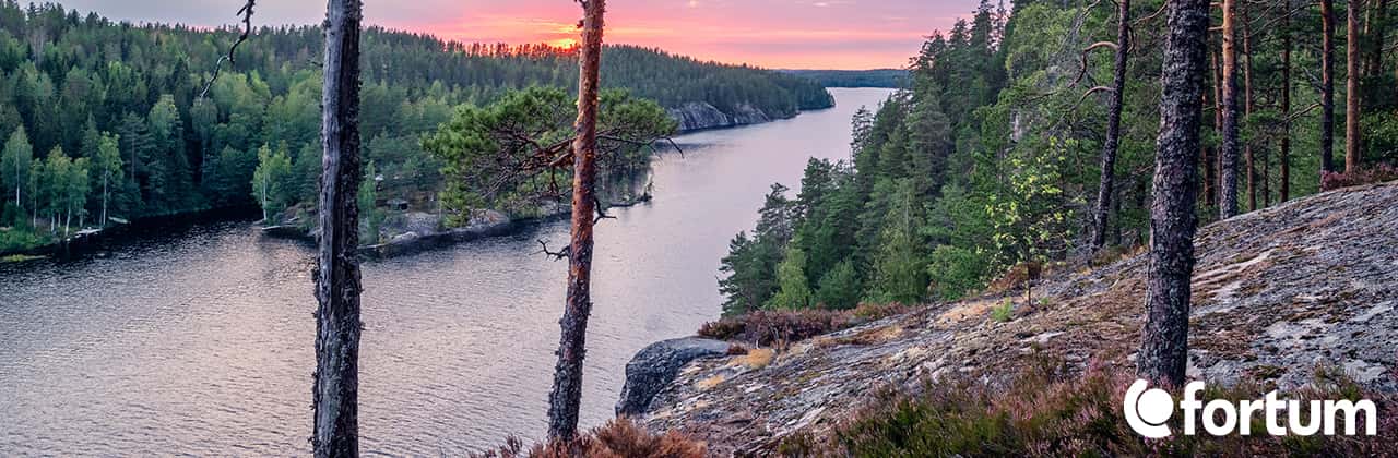 Fortum Elrabatt och Bonuspoäng