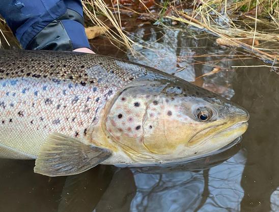 Jubileumstävling – Vinn resecheckar från Outside Travels