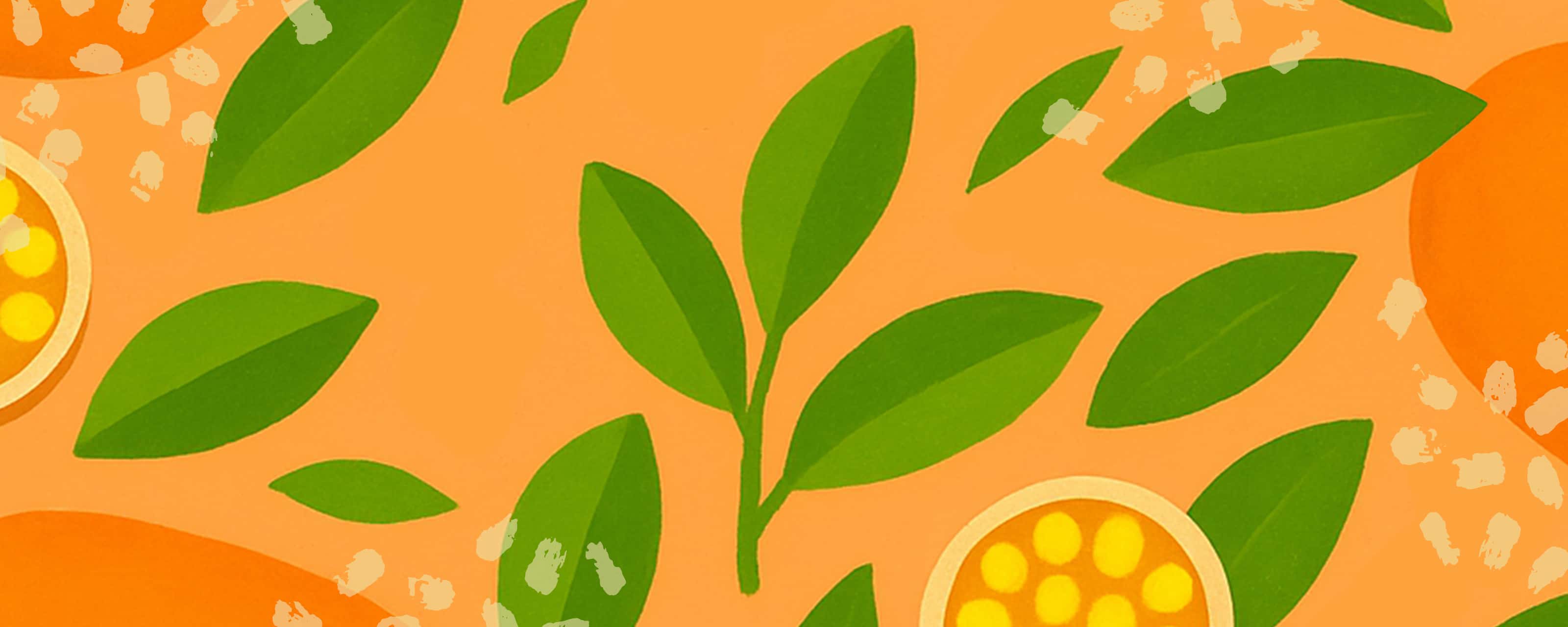 Sorbet Mango Passion 8st för 159kr