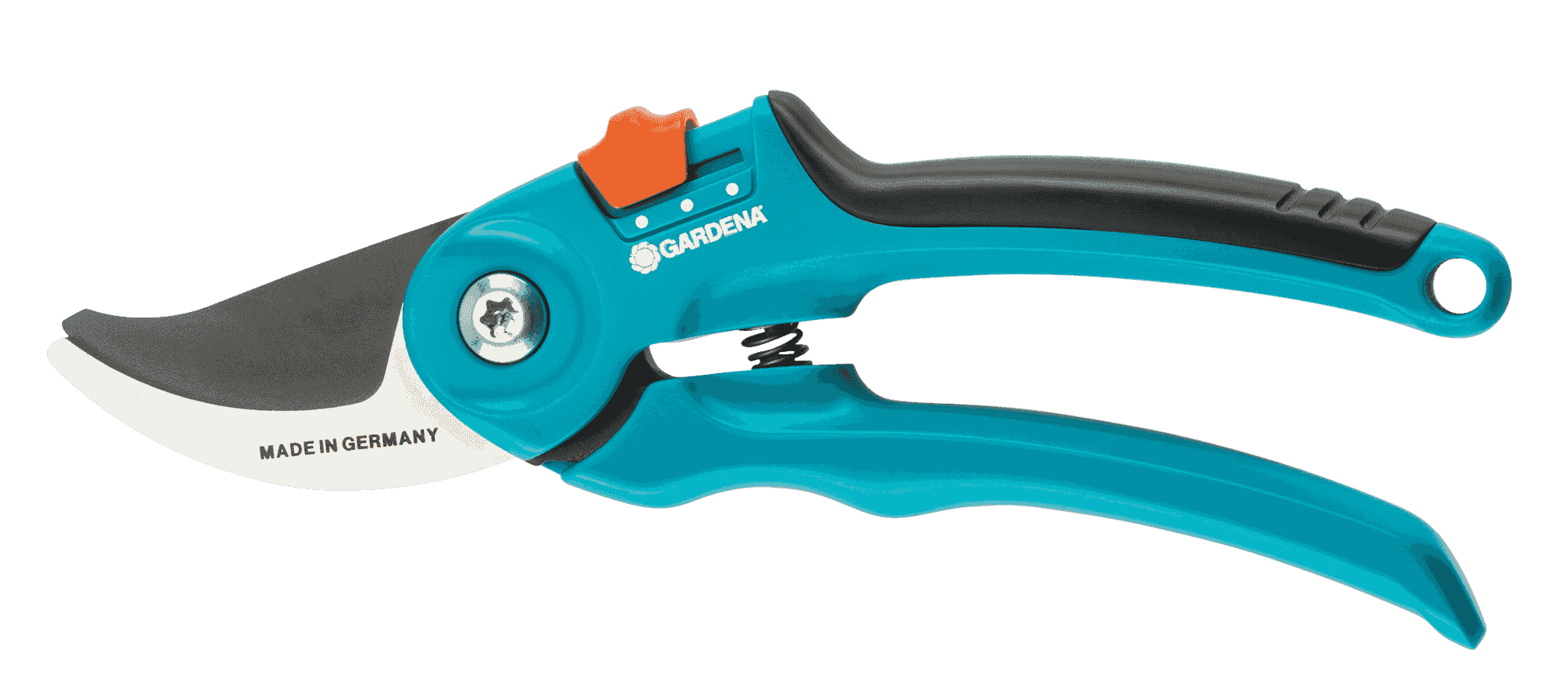 Weibulls Flox Blomfröer Premiumkvalitet