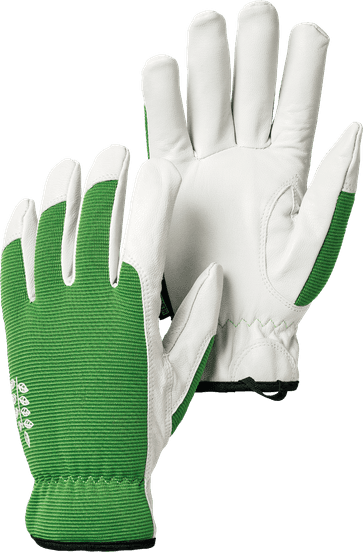 Weibulls Flox Blomfröer Premiumkvalitet