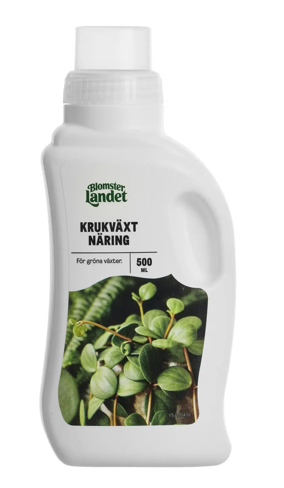 Vit Papegojblomma 50–60 cm Krukväxt