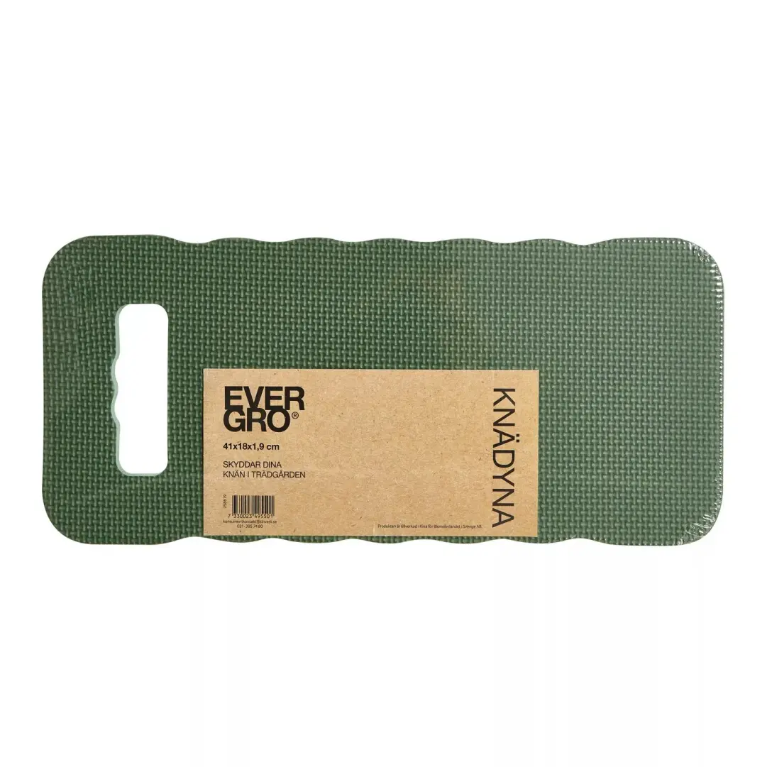 Bukettranunkel Mix 15-Pack Blommor