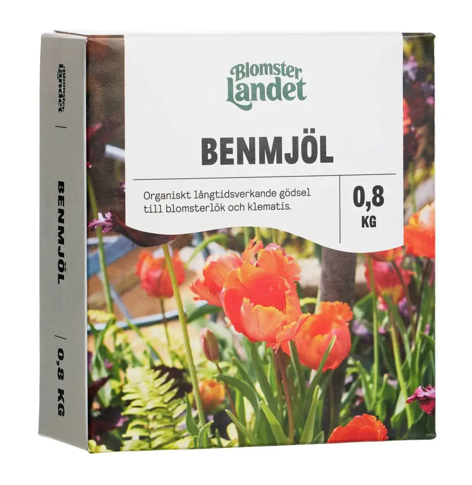 Bukettranunkel Mix 15-Pack Blommor