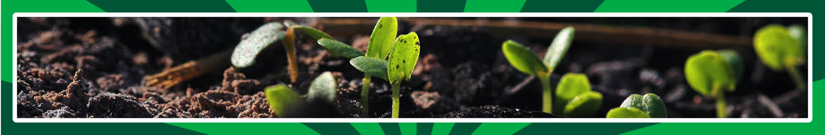 Medlemsquiz – Tävla och Vinn Priser