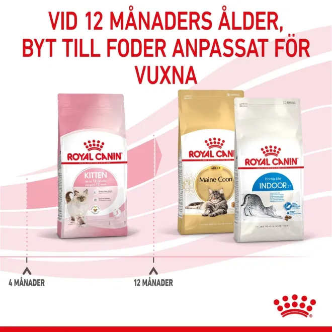 Royal Canin Torrfoder för Kattungar