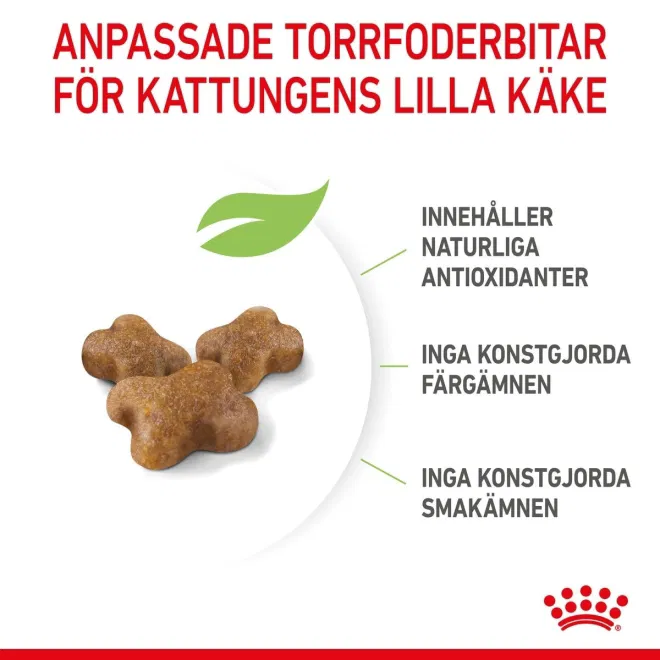 Royal Canin Torrfoder för Kattungar