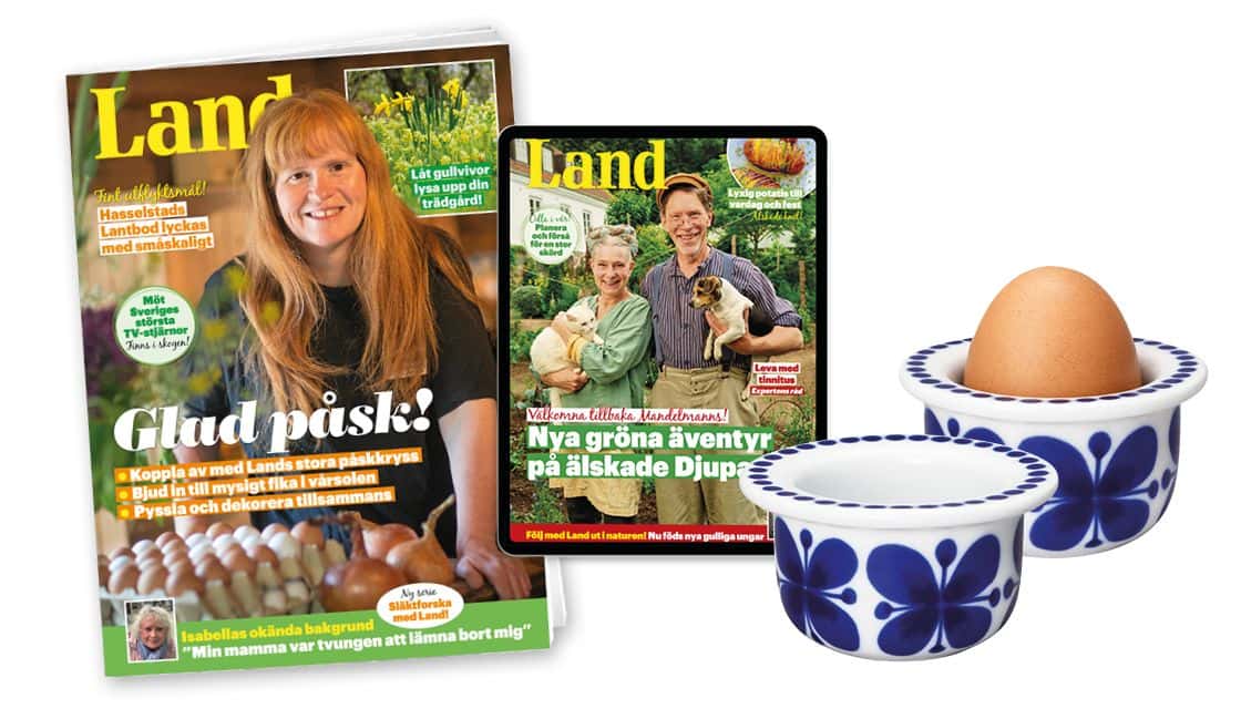 Exklusivt Erbjudande från Land